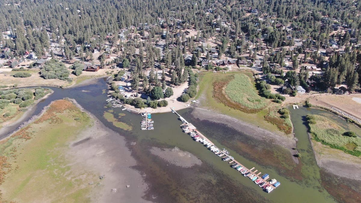 The marina docks in Grout Bay seen from above, with Fawnskin and the forest along North Shore Drive.